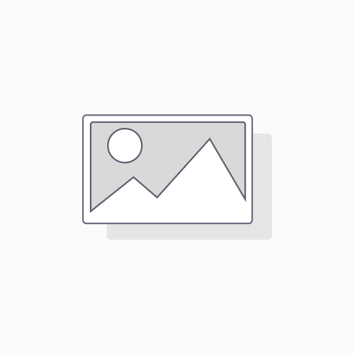INS - WEBINAR